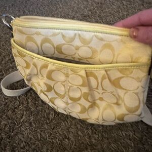 Sunny coach bag has spot as shown